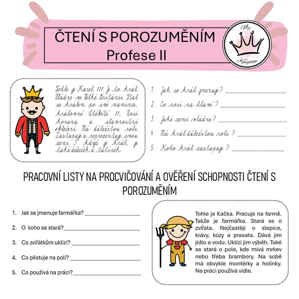 Čtení s porozuměním - PROFESE II