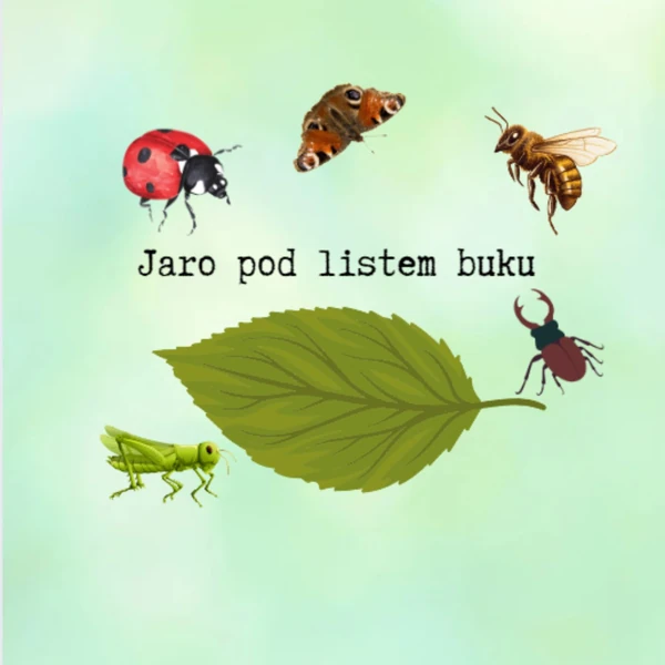 Jaro pod listem buku - hmyz