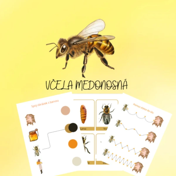 Včela medonosná