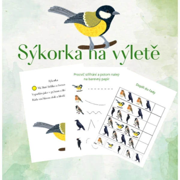 Sýkorka na výletě