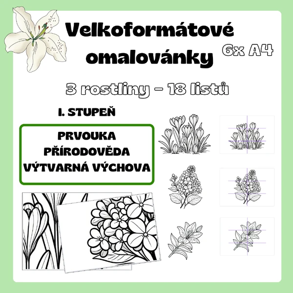 Velkoformátové omalovánky rostlin