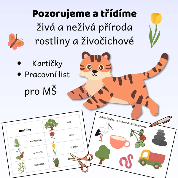 Pozorujeme a třídíme