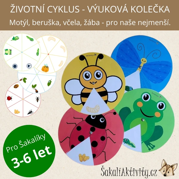  ŽIVOTNÍ CYKLUS - motýl, včela, beruška, žába 