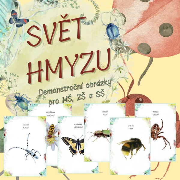 Svět hmyzu