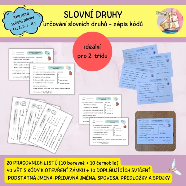 Určování slovních druhů - zápis kódů