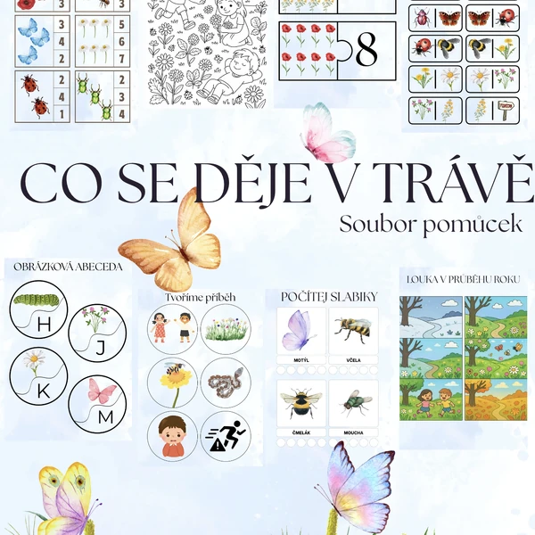 🌼 CO SE DĚJE V TRÁVĚ – výuková a hravá sada pro MŠ 🐞
