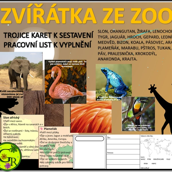 ZVÍŘÁTKA ZE ZOO