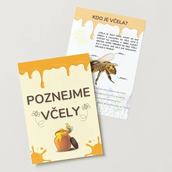 POZNEJME VČELY - Světový den včel