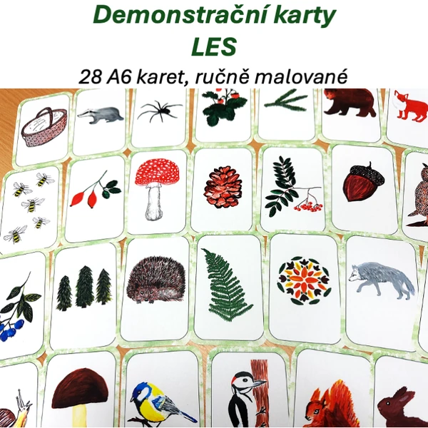 LES - Demonstrační karty