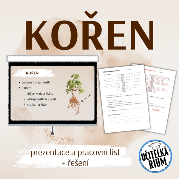 KOŘEN - prezentace a pracovní list
