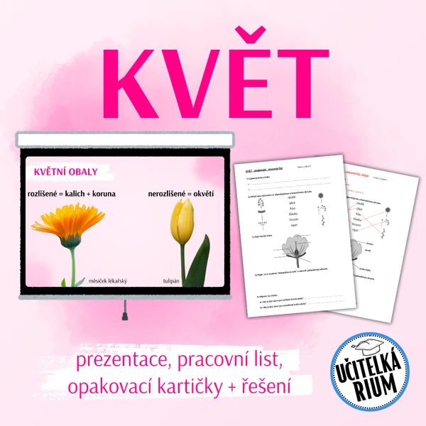KVĚT - prezentace, pracovní list a opakovací kartičky