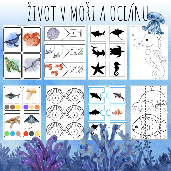 ŽIVOT V MOŘI A OCEÁNU