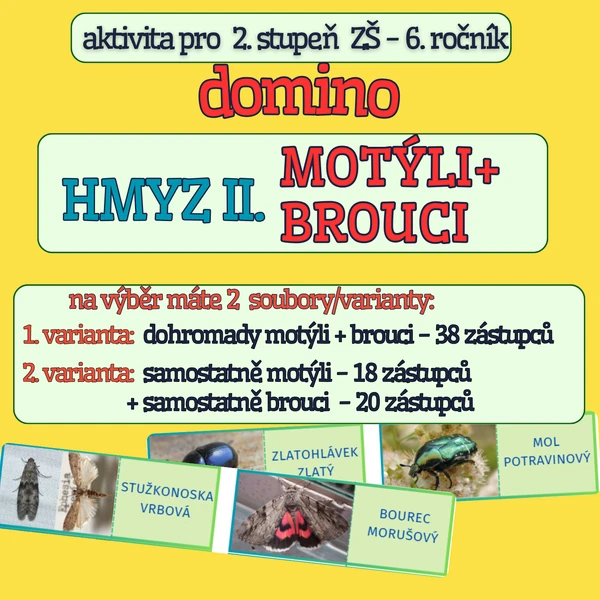 Domino - HMYZ II. MOTÝLI A BROUCI