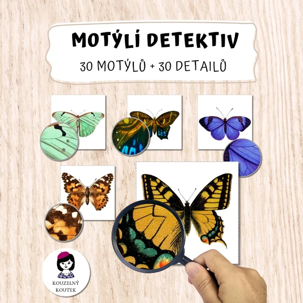 Motýlí detektiv – hledání detailů