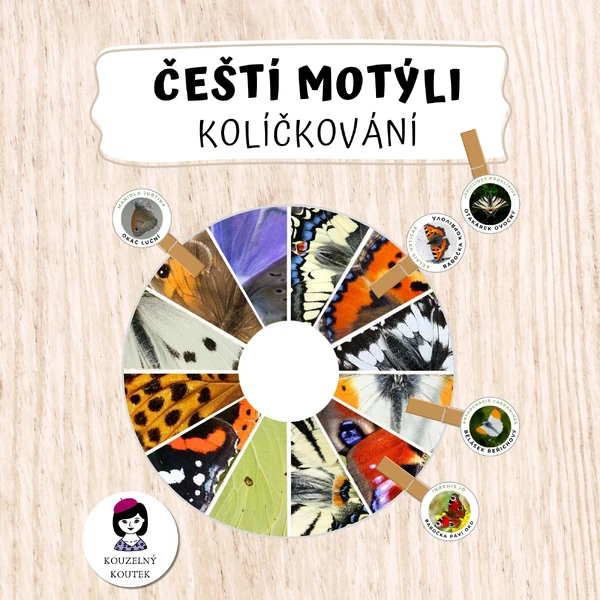 Kolíčkování - čeští motýli
