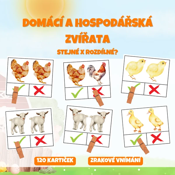 DOMÁCÍ A HOSPODÁŘSKÁ ZVÍŘATA - stejné x rozdílné?