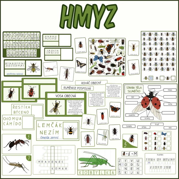 Hmyz - Sada aktivit