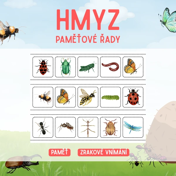 HMYZ - paměťové řady