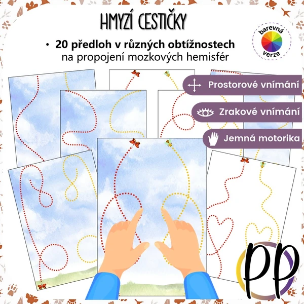 Hmyzí cestičky - propojení mozkových hemisfér