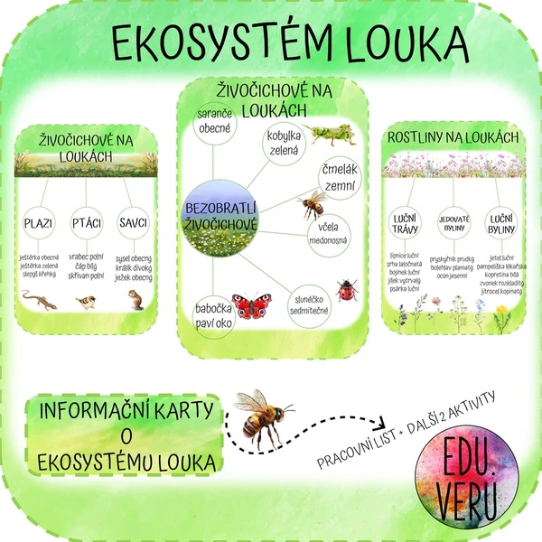 Ekosystém louka