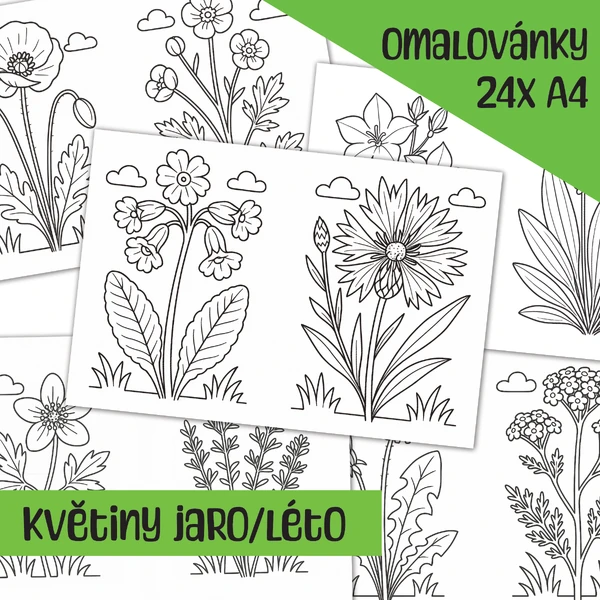 Květiny z české přírody OMALOVÁNKY