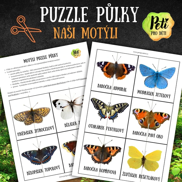 Motýlí puzzle půlky