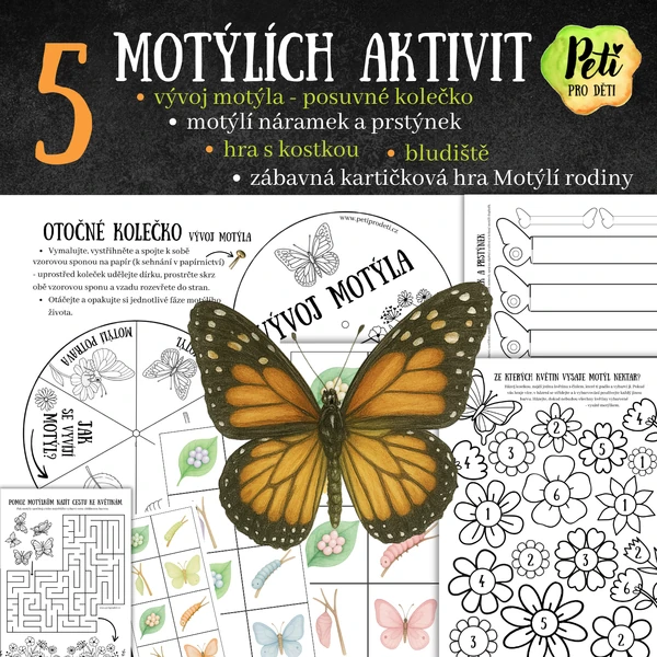 5 motýlích aktivit
