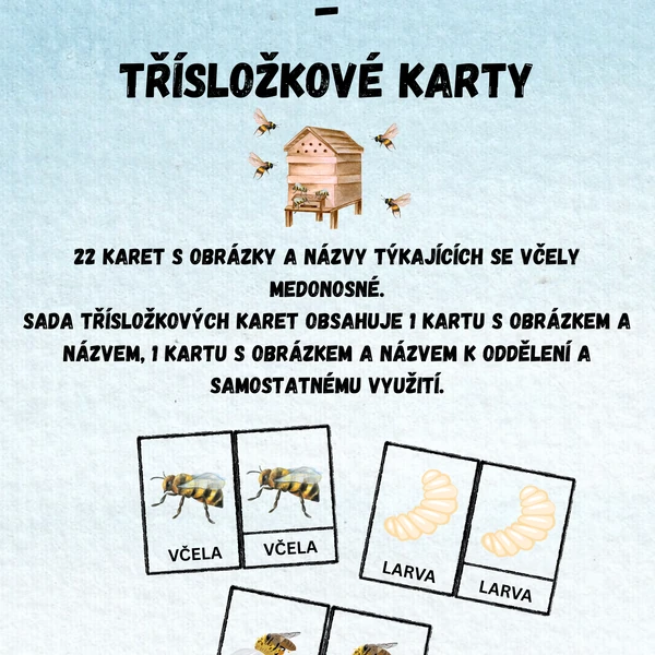 Třísložkové karty - včela medonosná