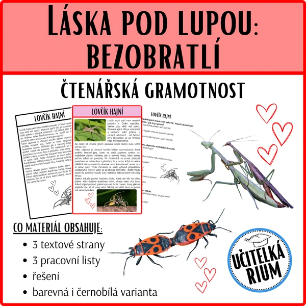 Láska pod lupou: bezobratlí
