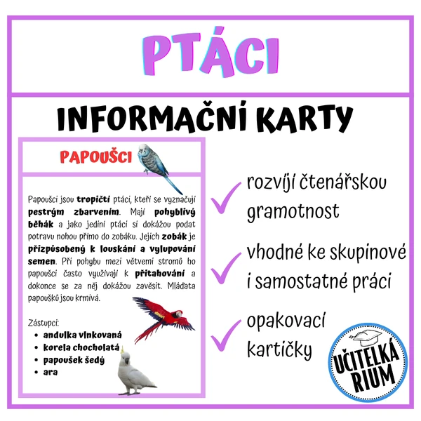 Ptáci - informační karty, opakovací kartičky, zápisový list
