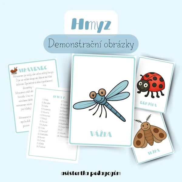 Hmyz - Demonstrační a výukové kartičky 