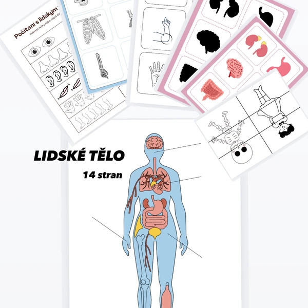 lidské tělo