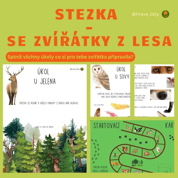 Stezka - se zvířátky z lesa