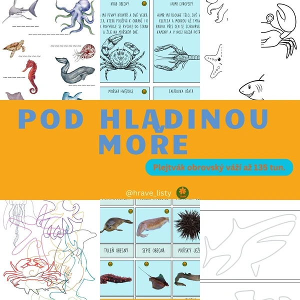 Pod hladinou moře