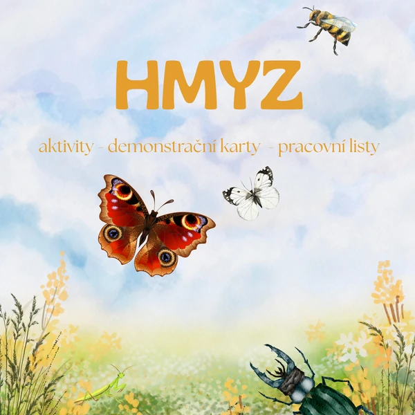 Hmyz - dem. karty, aktivity, pracovní listy