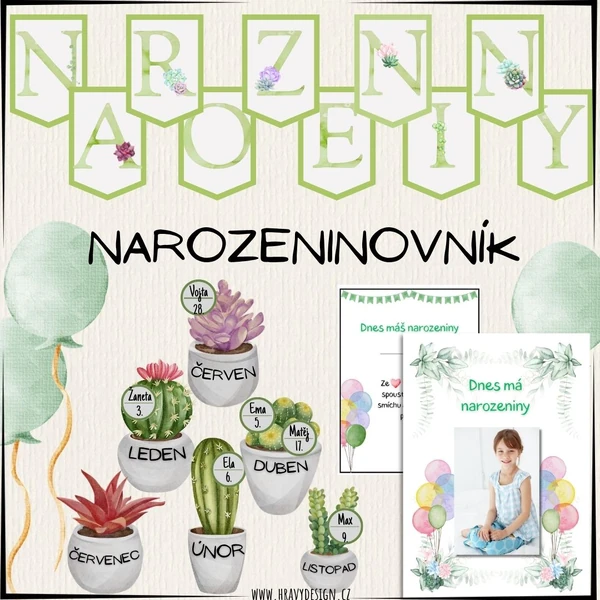 Narozeninovník - Sukulenty/květiny