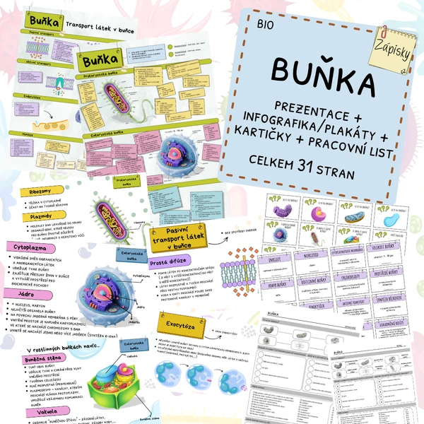 Buňka