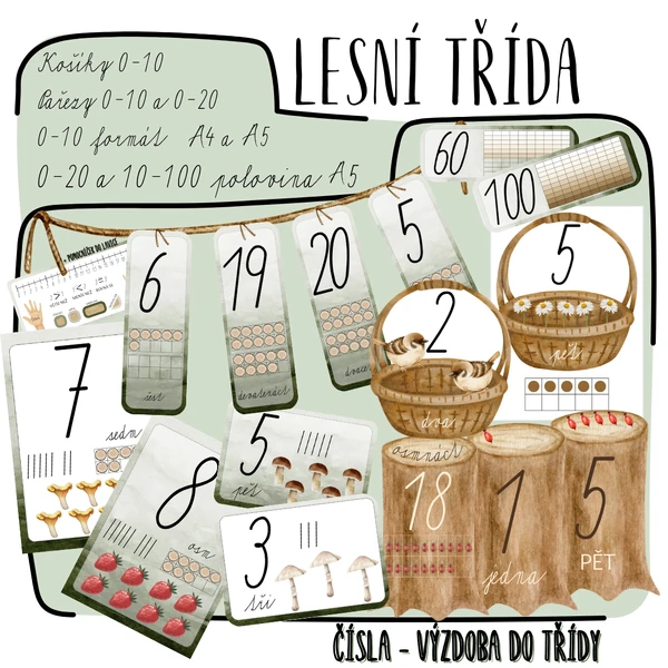 ČÍSLA - Lesní třída