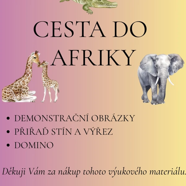 Cesta do Afriky 🦍🦒🦓🐆🐘
