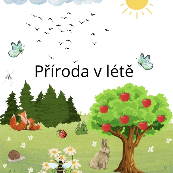 Příroda v létě 🌞🍓