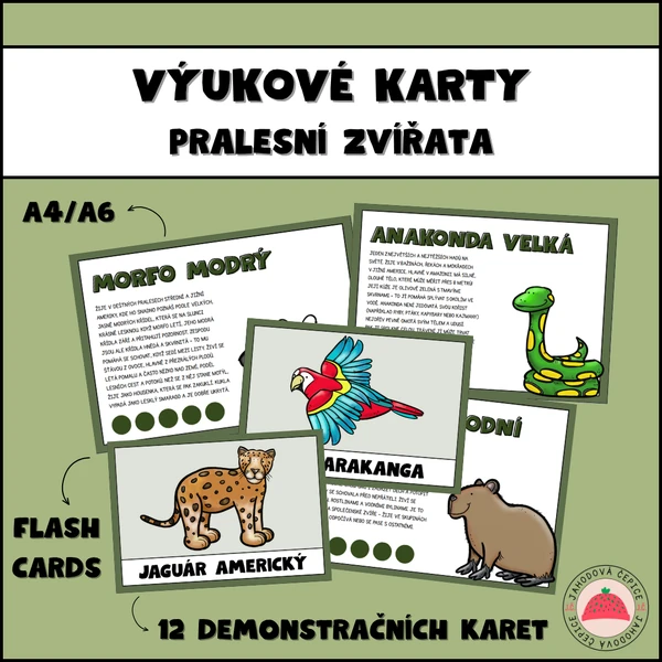 Výukové karty a flash cards - pralesní zvířata