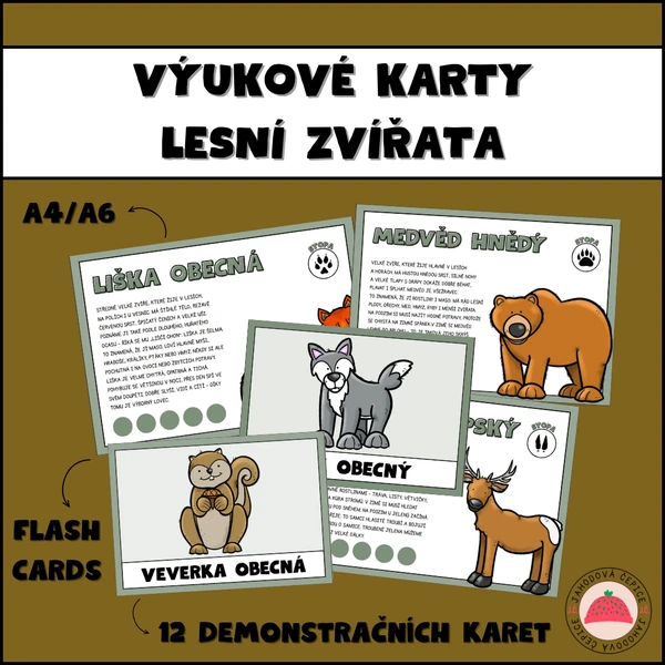 Výukové karty a flash cards- lesní zvířata