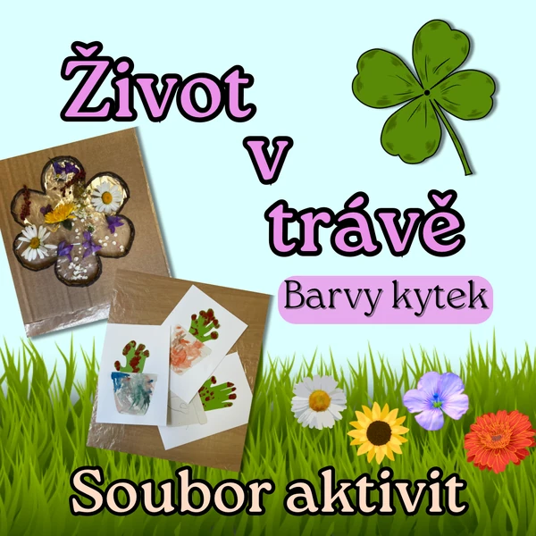 Život v trávě - Barvy kytek