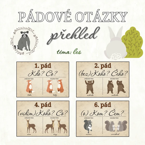 Pádové otázky - přehled