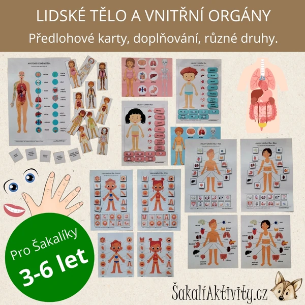 LIDSKÉ TĚLO A VNITŘNÍ ORGÁNY