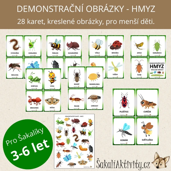  HMYZ - kreslený - demonstrační karty 