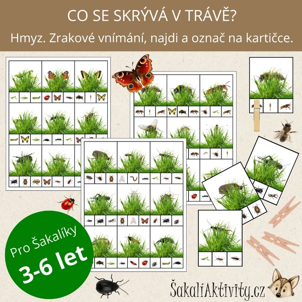  HMYZ - Co se skrývá v trávě? - zrakové vnímání 