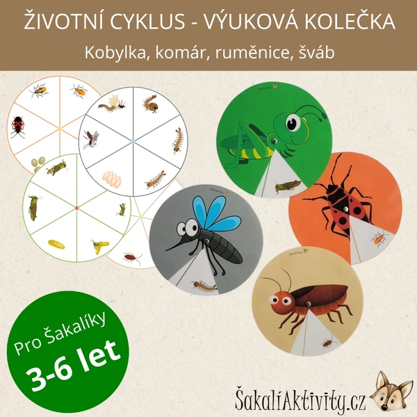  ŽIVOTNÍ CYKLUS - saranče, komár, ruměnice, šváb 