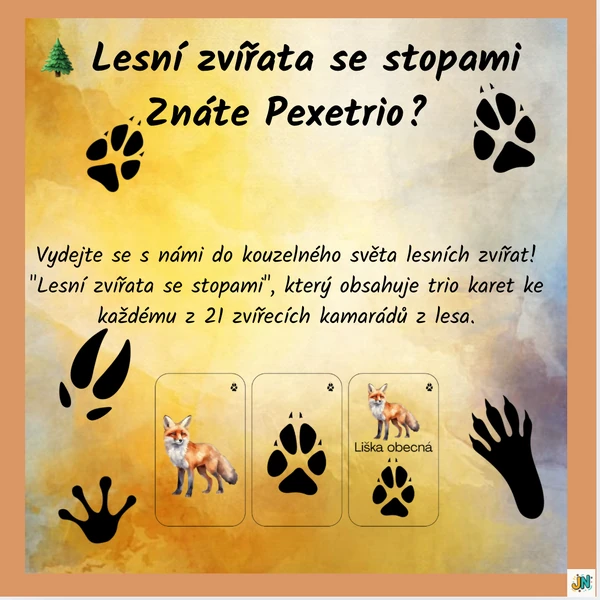 Volně žijící zvířata - stopy - PEXETRIO
