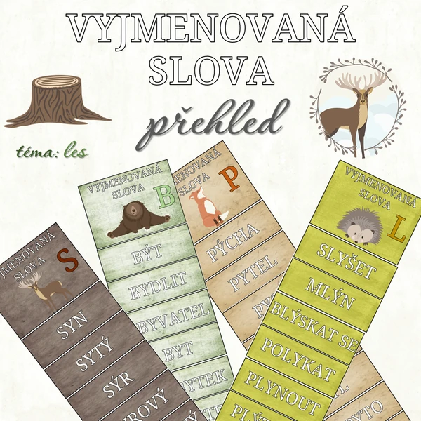 Vyjmenovaná slova - přehled